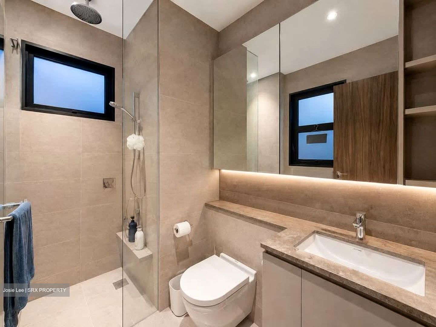 Daintree Residence (D21), Condominium #602044191
